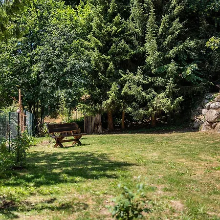 Auszeit Im Schwarzwald Апартаменты